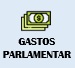 Gastos Parlamentares